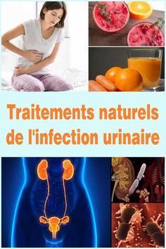 Bien que moins fréquentes que chez la femme, les infections urinaires masculines (souvent liées à une prostatite ou une urétrite) sont généralement plus complexes et douloureuses. Face aux récidives et à la résistance aux antibiotiques, de nombreux patients cherchent à savoir comment guérir les infections urinaires chez l'homme naturellement.