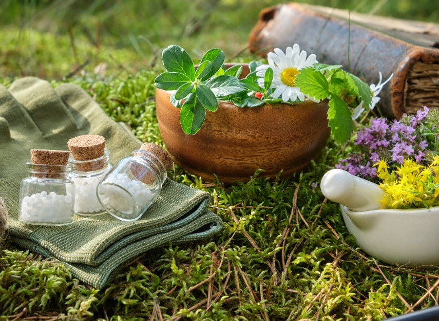 L'asthme est une maladie respiratoire chronique qui se manifeste par une inflammation des voies aériennes, rendant la respiration difficile, surtout lors des crises. Essoufflements, sifflements et sensations d'oppression thoracique sont le quotidien de nombreux patients. Si les inhalateurs sont la réponse classique, chercher un traitement naturel pour l'asthme devient une priorité pour ceux qui souhaitent réduire leur dépendance aux corticoïdes et renforcer leurs poumons durablement.