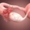 Les trompes de Fallope jouent un rôle fondamental dans la conception. C’est en leur sein que se rencontrent le spermatozoïde et l’ovule, et c’est par là que l’œuf voyage jusqu’à l’utérus. Malheureusement, l’obstruction tubaire (les trompes bouchées) est l’une des causes principales d’infertilité féminine. Qu’elle soit due à des infections passées, à de l'endométriose ou à des interventions chirurgicales, cette affection peut être évitée. S’informer sur la prévention des trompes bouchées naturellement est essentiel pour toutes les femmes qui souhaitent protéger leur fertilité future.