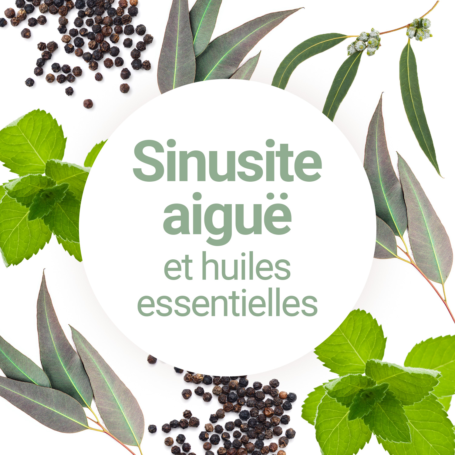 La sinusite, qu'elle soit aiguë ou chronique, se manifeste par une inflammation des muqueuses qui tapissent les sinus. Nez bouché, pressions douloureuses derrière les yeux, maux de tête et perte d'odorat sont autant de symptômes qui empoisonnent le quotidien. Si les antibiotiques sont souvent proposés, chercher un remède naturel pour guérir la sinusite est une excellente alternative pour assainir les voies respiratoires sans agresser l'organisme.
