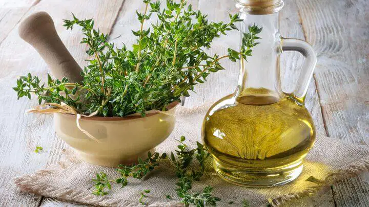 La leucémie, souvent appelée "cancer du sang", est une pathologie complexe qui affecte la production des cellules sanguines dans la moelle osseuse. Face à la lourdeur des protocoles de chimiothérapie, de nombreux patients cherchent un remède naturel pour la leucémie afin de soutenir leur organisme, réduire les effets secondaires et purifier leur système lymphatique.