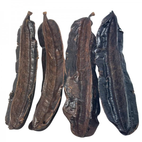Le fruit du Tetrapleura tetraptera, communément appelé quatre côtés en Afrique francophone ou Prekese en langue Akan, est une gousse médicinale très célèbre dans la pharmacopée traditionnelle africaine. Reconnaissable à sa forme géométrique singulière et à son odeur boisée caractéristique, ce fruit est utilisé depuis des millénaires pour ses vertus curatives et protectrices. Lorsque l'on s'intéresse aux bienfaits du quatre côtés pour la santé, l'expertise d'un praticien permet de l'utiliser à bon escient pour purifier l'organisme.