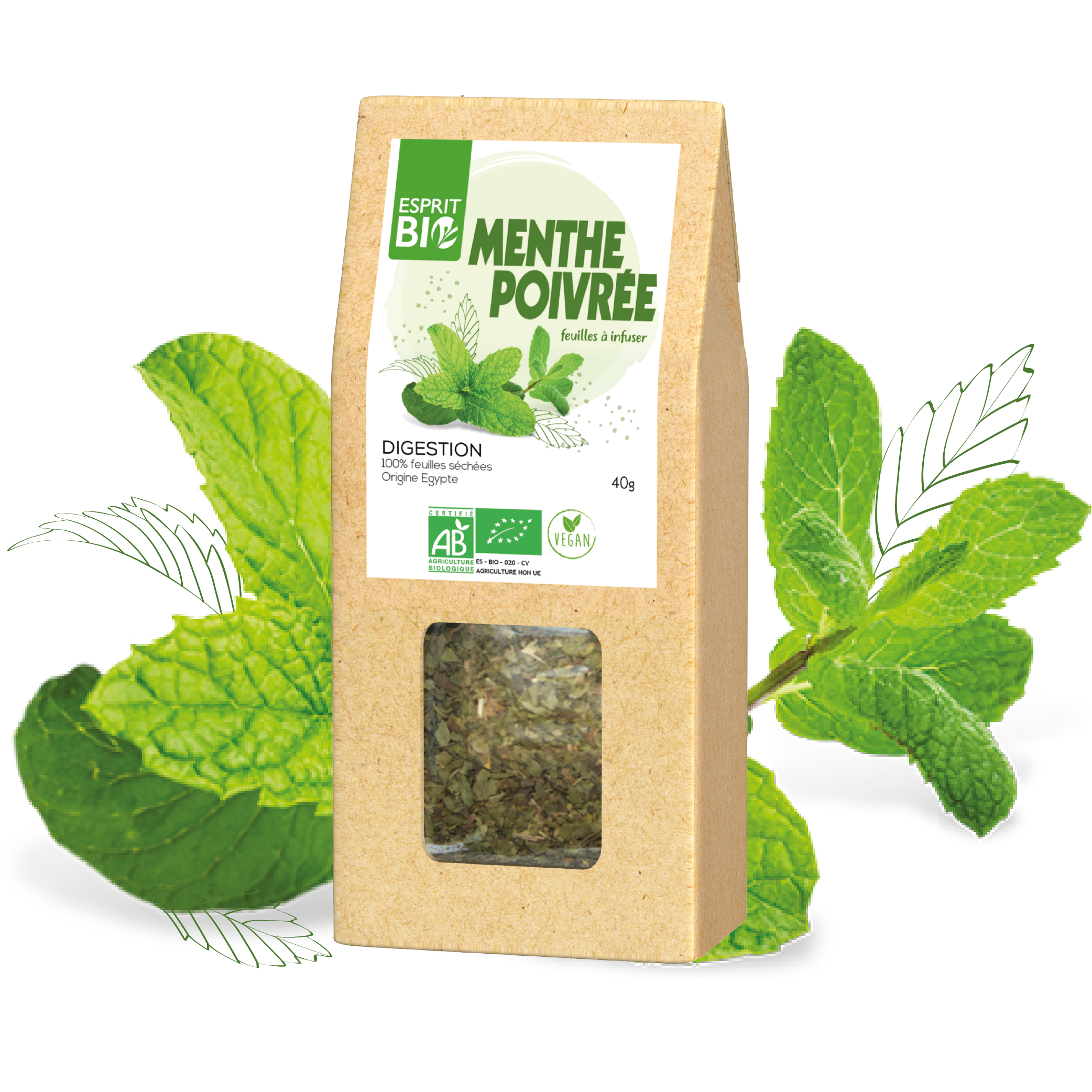 La menthe (Mentha) est une plante herbacée vivace aromatique universellement connue et appréciée. Si elle agrémente à merveille nos boissons et nos plats estivaux, elle cache sous sa fraîcheur piquante des propriétés médicinales majeures. Utilisée depuis l'Antiquité dans les traditions thérapeutiques du monde entier, elle est bien plus qu'un simple ingrédient de confort. Lorsque l'on s'intéresse aux bienfaits des feuilles de menthe pour soigner le corps, l'accompagnement d'un expert de la pharmacopée permet d'en optimiser l'usage au quotidien.