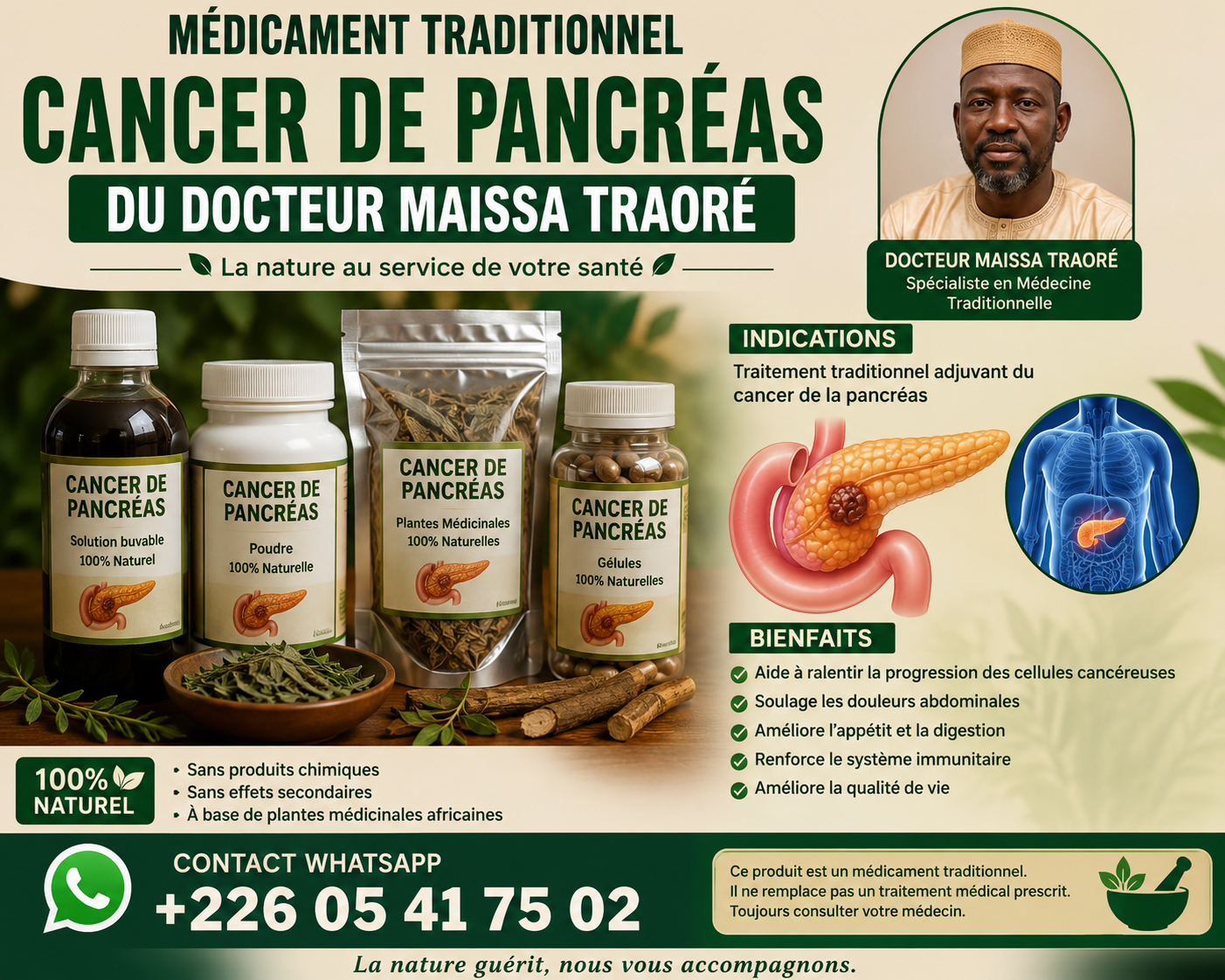 Le pancréas est un organe glandulaire discret mais vital, niché au cœur de l'abdomen. Il joue un rôle double essentiel : une fonction exocrine qui sécrète les enzymes digestives et une fonction endocrine qui régule la glycémie grâce à l'insuline. Le diagnostic d'un adénocarcinome ou d'une tumeur pancréatique constitue une épreuve majeure. Face à cette situation, de nombreux patients et familles cherchent à savoir comment soigner le cancer du pancreas naturellement ou comment accompagner les traitements médicaux pour renforcer l'organisme, limiter les effets secondaires et préserver l'énergie vitale.